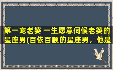 第一宠老婆 一生愿意伺候老婆的星座男(百依百顺的星座男，他是谁？他为什么能宠老婆到底？)